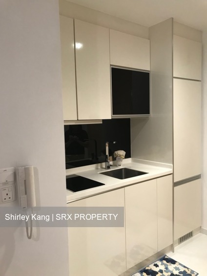 Loft @ Holland (D10), Apartment #177322862